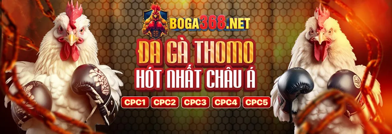 Thành tựu và giải thưởng bigbet88