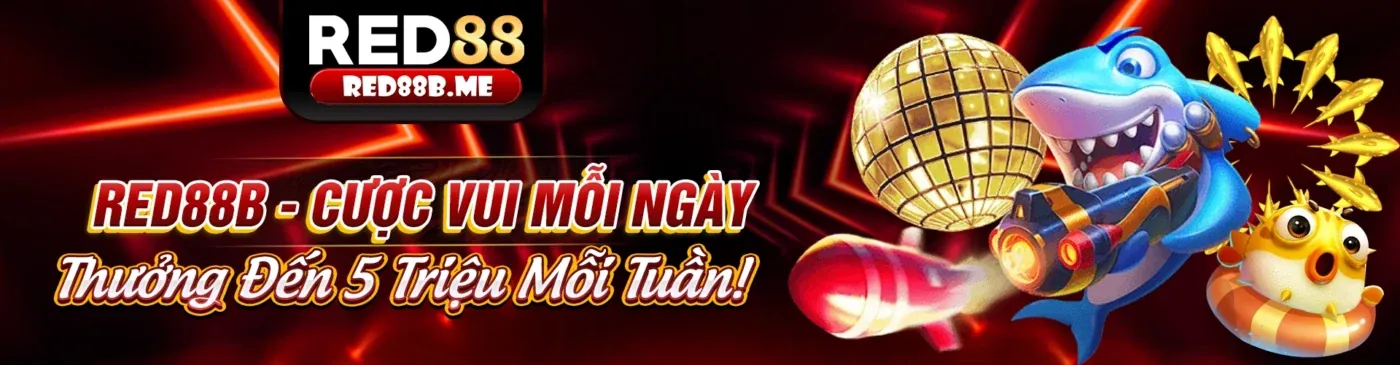 bigbet88 trang chủ chính thức 2026 - Khám phá thế giới giải trí cá cược đỉnh cao!