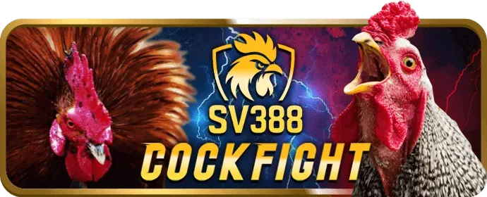 Nổ Hũ Video bigbet88